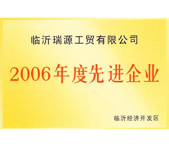 2006年先进企业